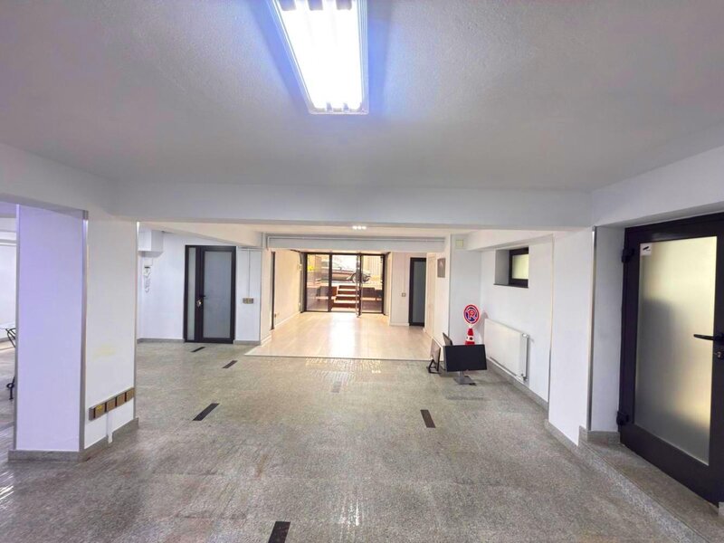 Aviatorilor, Kiseleff, Spatiu Open Space, Parter coborat Demisol, Stradal
