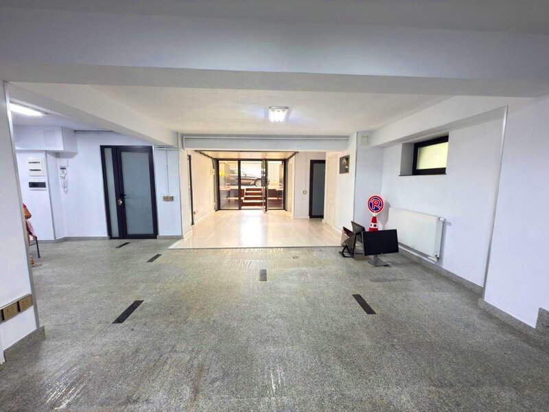 Aviatorilor, Kiseleff, Spatiu Open Space, Parter coborat Demisol, Stradal